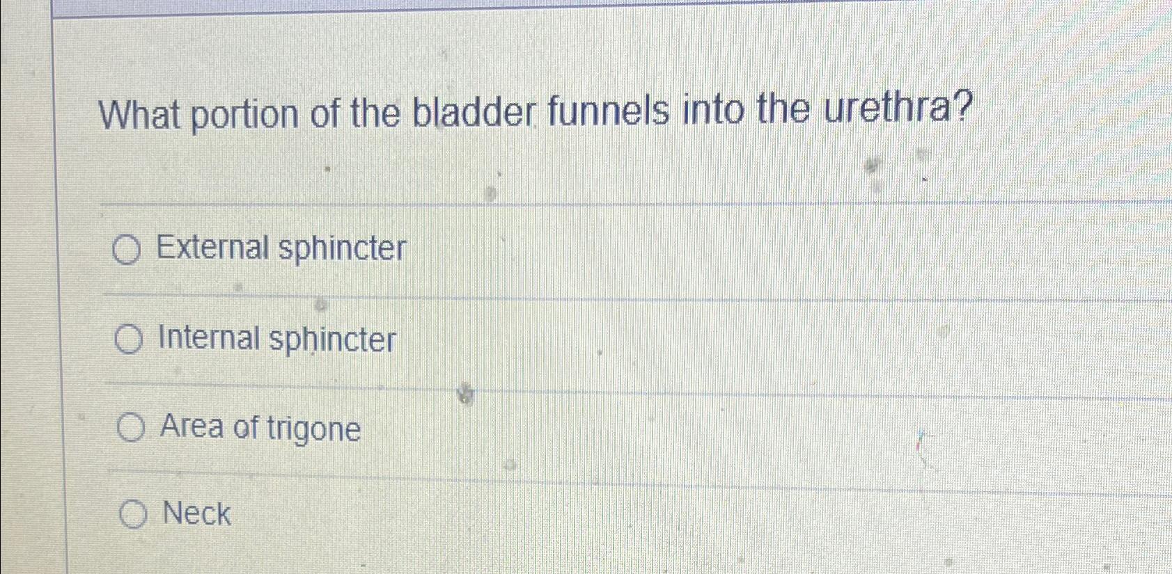 Solved What portion of the bladder funnels into the | Chegg.com