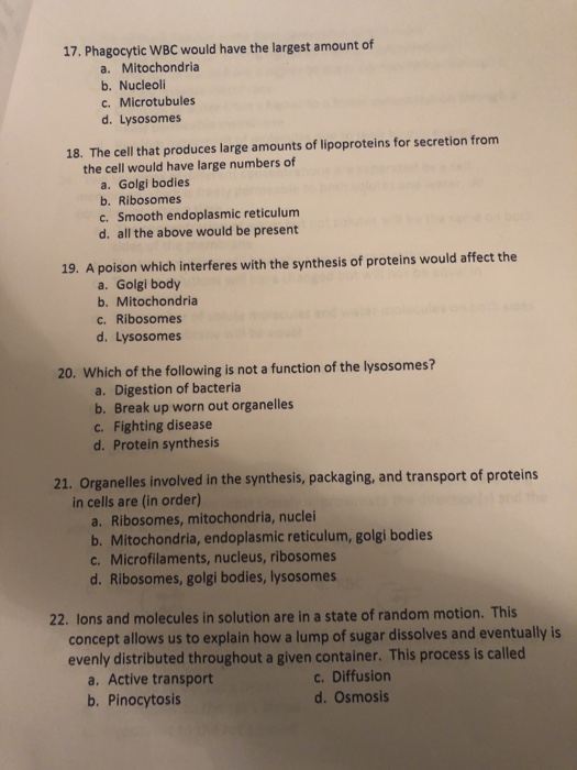 Solved 17. Phagocytic WBC would have the largest amount of | Chegg.com