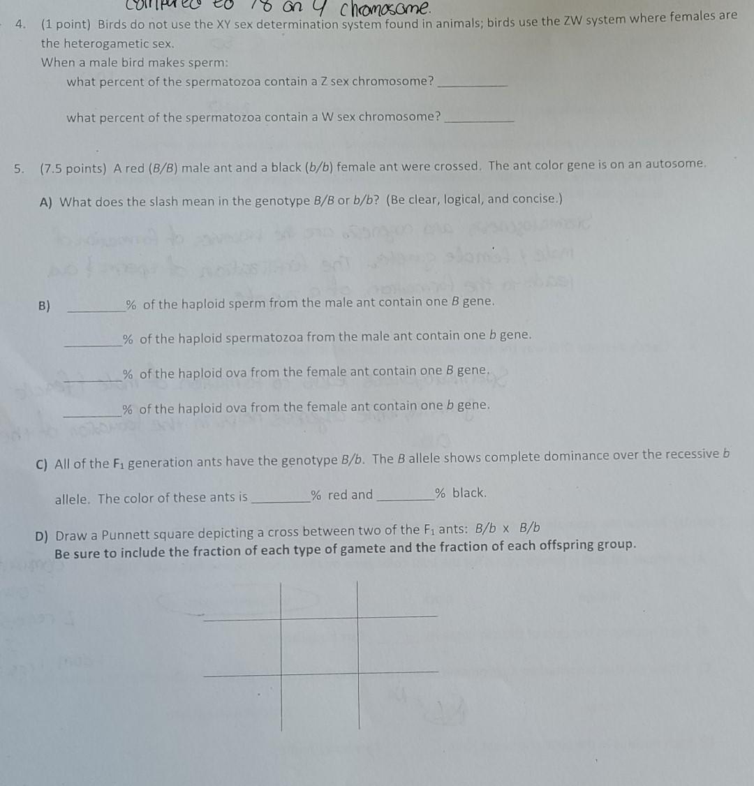 Solved 4. Compurec 78 on 4 chromosome. (1 point) Birds do | Chegg.com