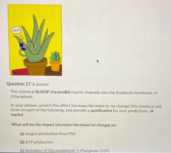 Solved ALOC? Question 27 (6 points) The chemical BLOOP | Chegg.com