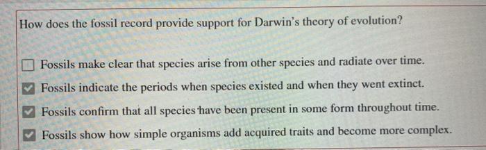How Does The Fossil Record Support The Theory Of Evolution Cheap Sale ...