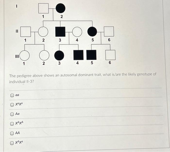 Solved || |||| aa хаха Aa ΧΑΧΑ AA 1 1 о хаха 1 2 2 2 3 3 The | Chegg.com