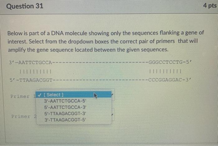 Solved Question 31 4 pts Below is part of a DNA molecule | Chegg.com