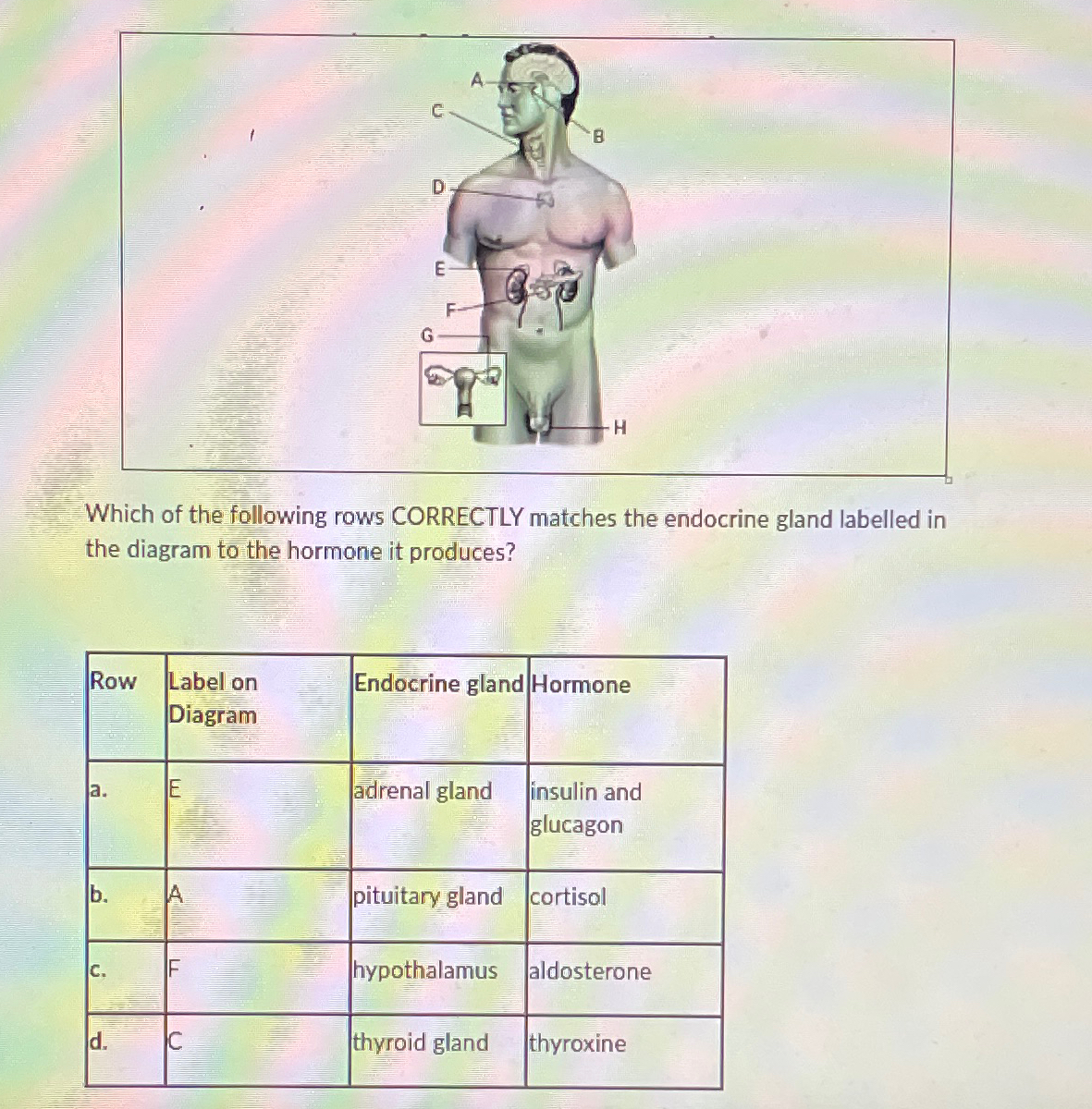 Which of the following rows CORRECTLY matches the Chegg