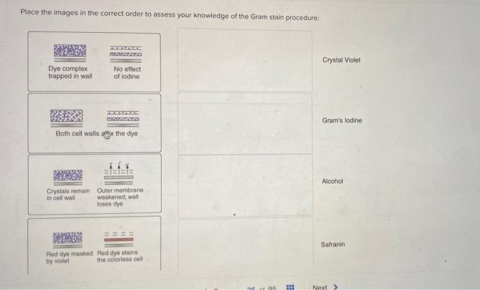 Solved Place the images in the correct order to assess your | Chegg.com