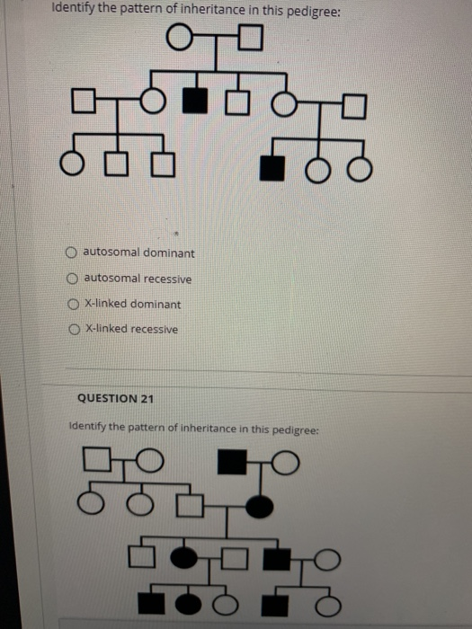 Solved Identify the pattern of inheritance in this pedigree: | Chegg.com