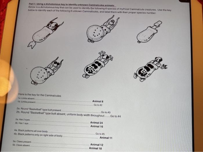 Solved Part I Using A Dichotomous Key To Identify Unknown | Chegg.com