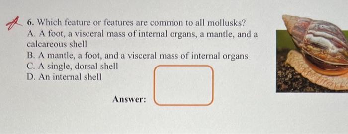 Solved 6. Which feature or features are common to all | Chegg.com