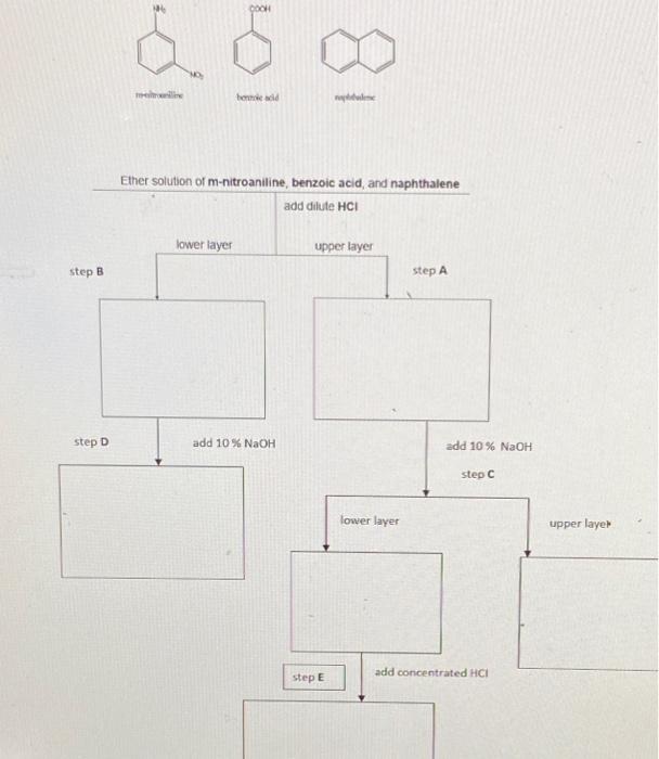 Solved Show the names and structures of the step B step D | Chegg.com