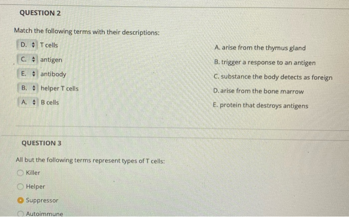 Solved QUESTION 2 Match the following terms with their | Chegg.com