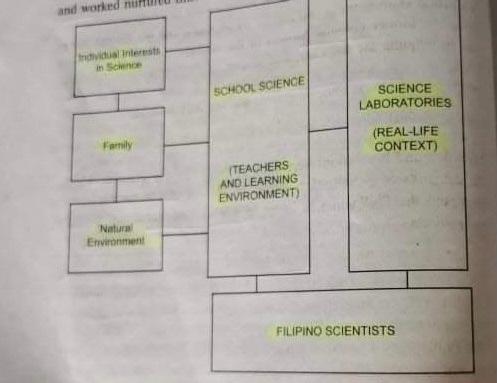 and worked Individual interest SCHOOL SCIENCE SCIENCE LABORATORIES (REAL-LIFE CONTEXT) Family TEACHERS AND LEARNING ENVIRONME