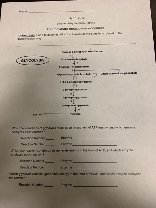 Solved Name July 15 2019 Biochemistry In Class Activity Chegg Com