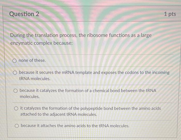 Solved During the translation process, the ribosome | Chegg.com