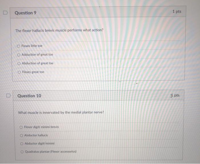 Solved Question 9 1 pts The flexor hallucis brevis muscle | Chegg.com