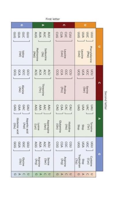 Solved Second letter 6. Use the genetic code table to fill | Chegg.com