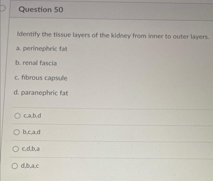 solved-identify-the-tissue-layers-of-the-kidney-from-inner-chegg