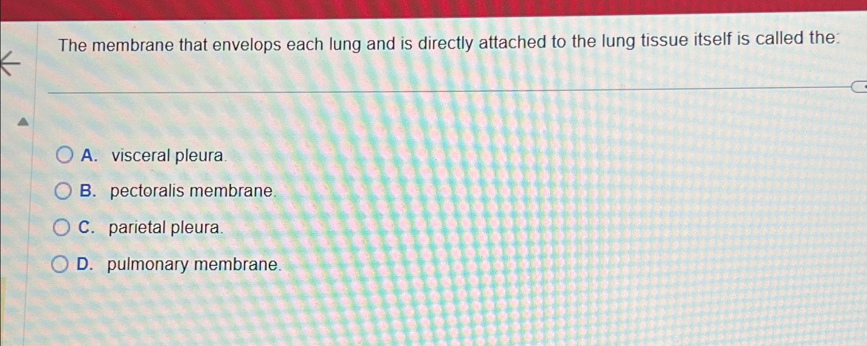 Solved The membrane that envelops each lung and is directly | Chegg.com