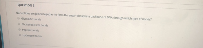 Solved QUESTION 7 You extracted DNA from a eukaryotic cell. | Chegg.com