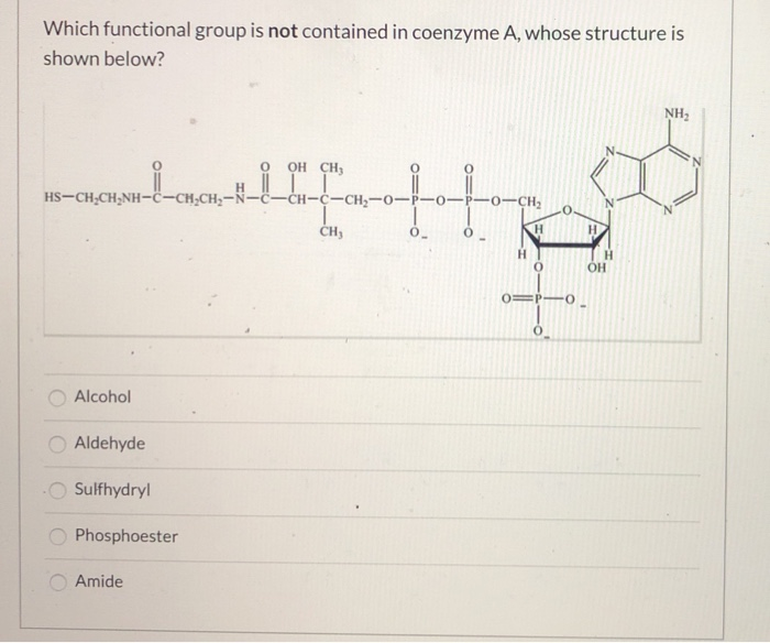 Solved What Is The Name Of The Amino Acid Shown Below? HI