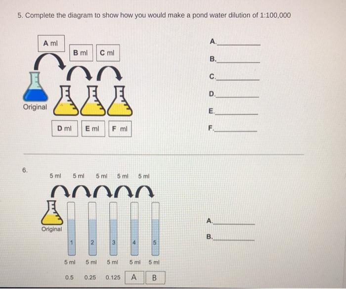 5. Complete the diagram to show how you would make a pond water dilution of 1:100,000 A mi A A B ml C ml B. C n 111 D. Origin
