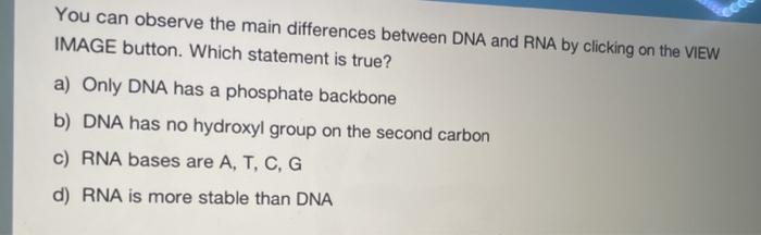 Solved You can observe the main differences between DNA and | Chegg.com