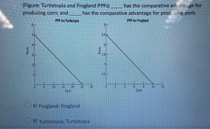 Solved ER (Figure: Turtletopia and Frogland PPFs) _____ has 