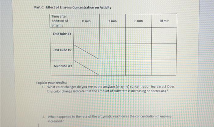 Solved Part C Effect of Enzyme Concentration on Activity | Chegg.com