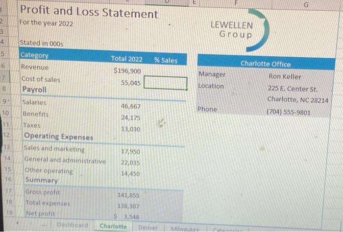 Profit and Loss Statement For the year 2022