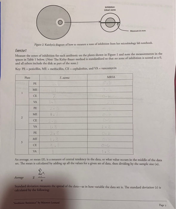 Solved Plate 1 Plate 2 Mrsa 980 Plate 3 S Aureus Mrsa Chegg Com