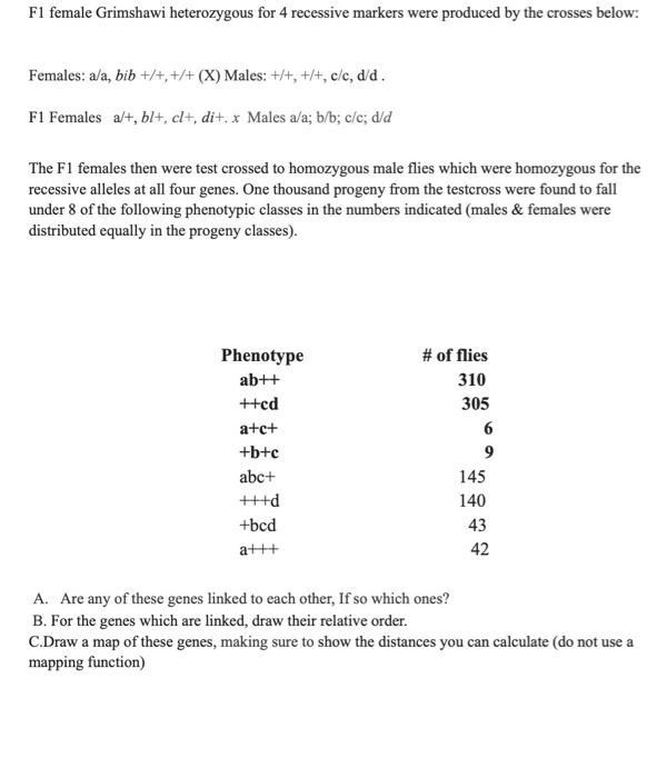 Solved F1 female Grimshawi heterozygous for 4 recessive | Chegg.com