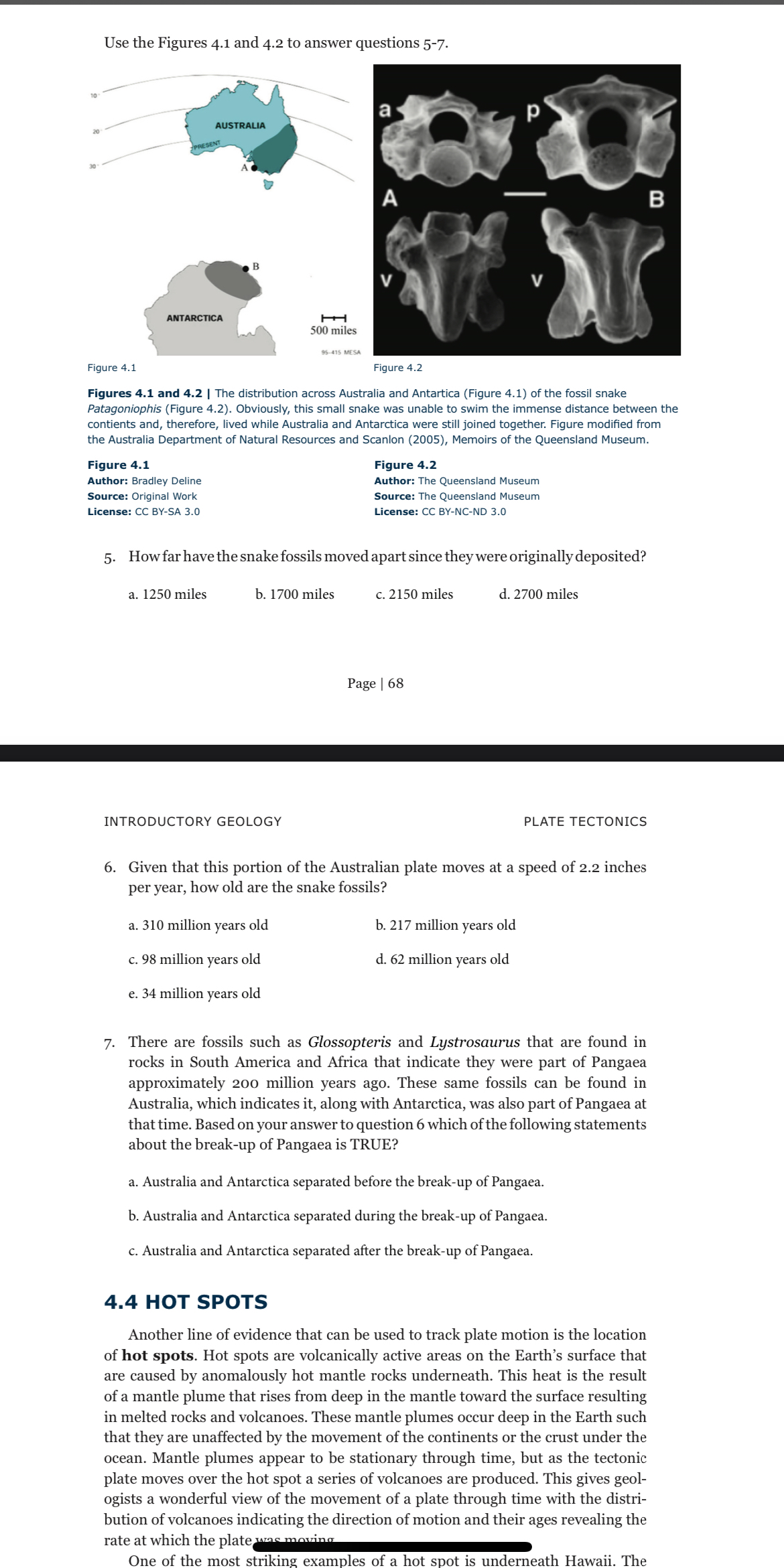 Solved Steps for cell divisojUse the Figures 4.1 ﻿and 4.2