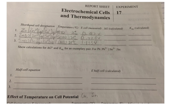 Solved REPORT SHEET EXPERIMENT Electrochemical Cells 17 And | Chegg.com