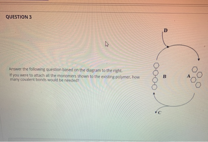Solved QUESTION 1 D Answer the following question based on | Chegg.com