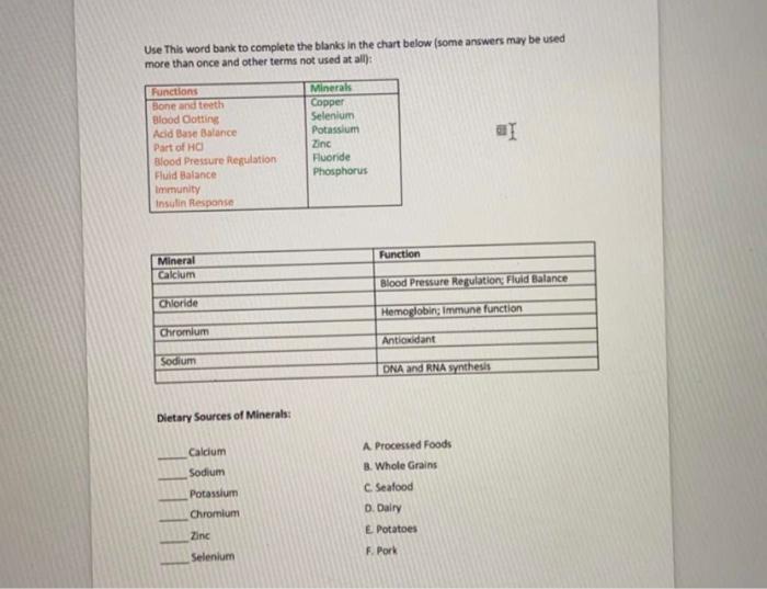 Solved Use This word bank to complete the blanks in the | Chegg.com