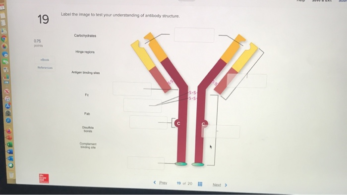 Solved Label the image to test your understanding of | Chegg.com