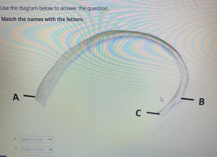 Solved Use the diagram below to answer the question. Match | Chegg.com