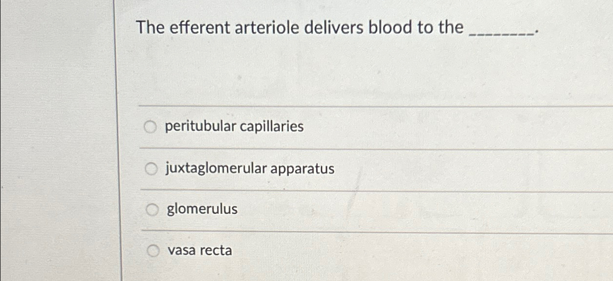 Solved The efferent arteriole delivers blood to | Chegg.com