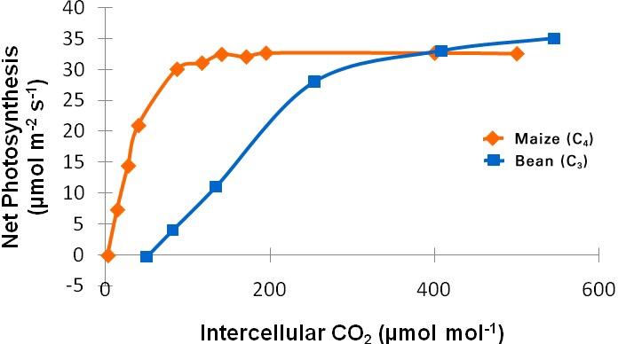 solved-7-the-rate-of-photosynthesis-was-measured-for-two-chegg