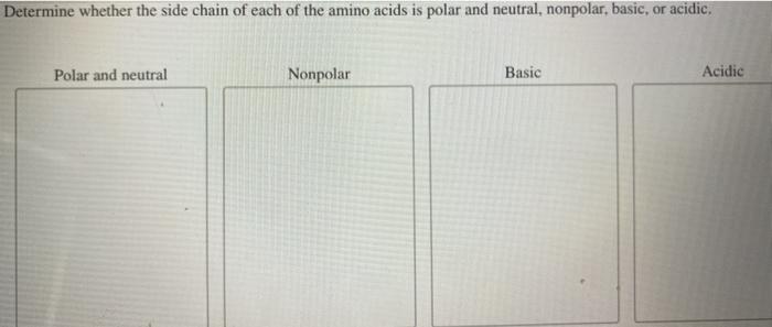 Solved Determine whether the side chain of each of the amino | Chegg.com