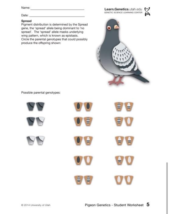 Name TC Date Answer the following. Use information