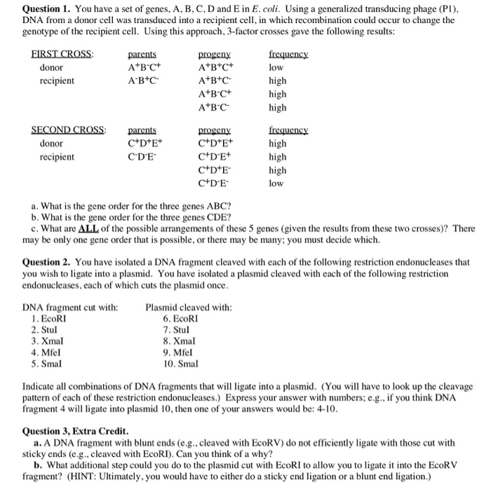 Solved Question 1. You Have A Set Of Genes, A, B, C, D And E | Chegg.com
