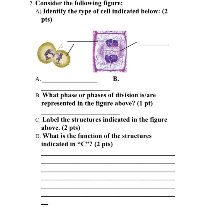 Solved 2. Consider The Following Figure: A) Identify The | Chegg.com