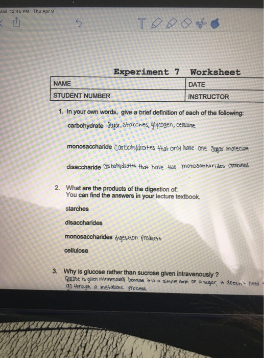 Solved Tail 12 45 Pm Thu Apr 9 Top 96 Xperiment 7 Workshe Chegg Com