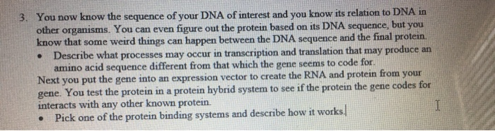 Solved 3. You now know the sequence of your DNA of interest | Chegg.com