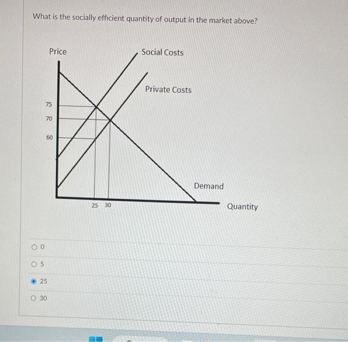 Solved What is the socially efficient quantity of output in | Chegg.com