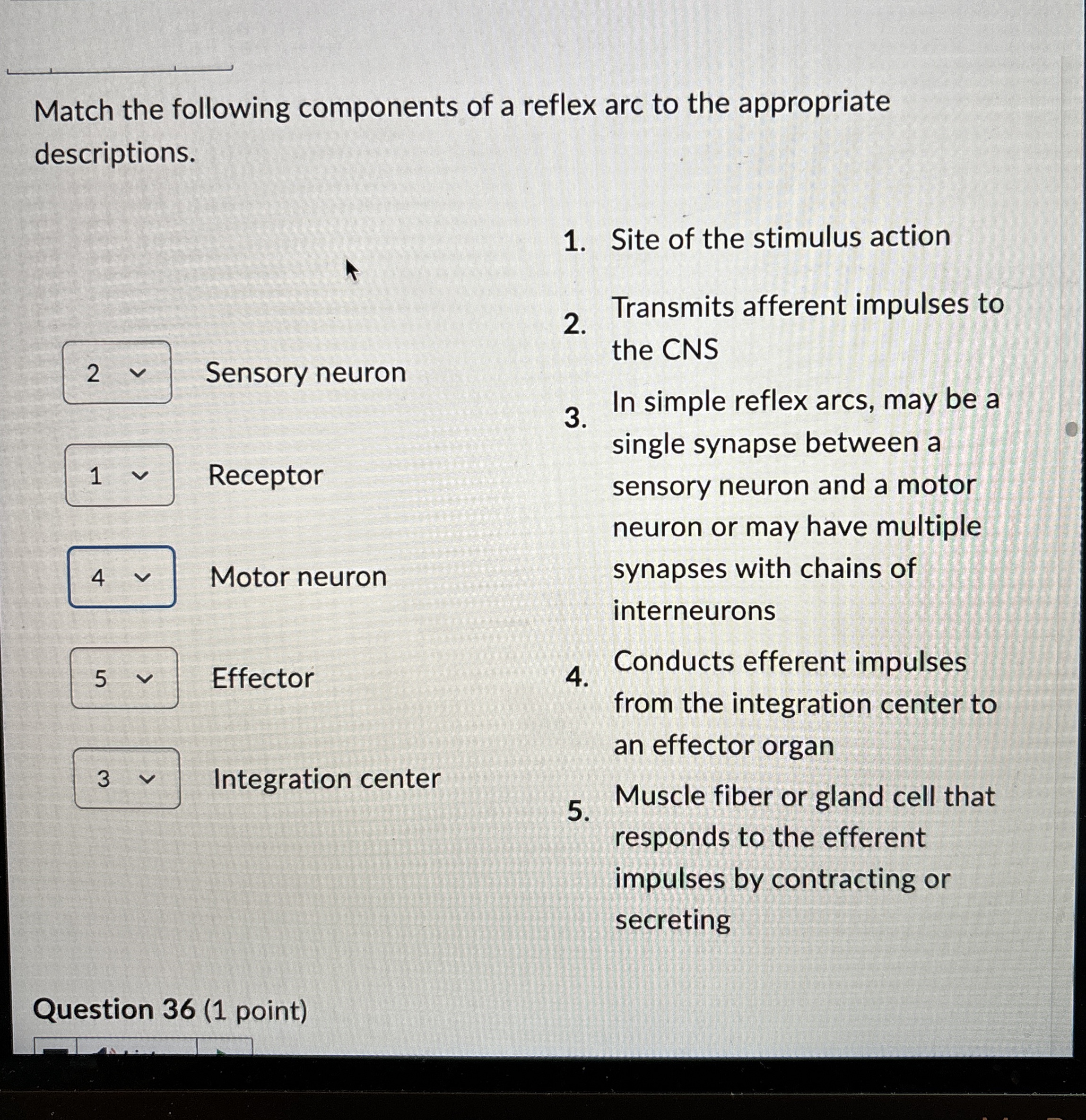 Solved Match the following components of a reflex arc to the | Chegg.com