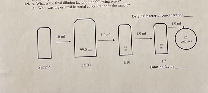 Solved A. What is the final dilution factor of the following | Chegg.com