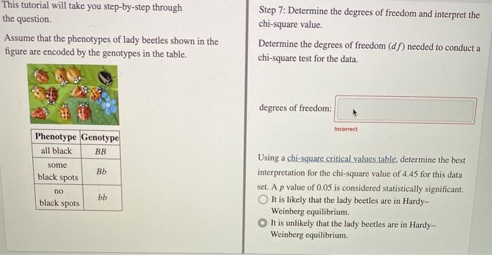 Solved This Tutorial Will Take You Step By Step Through The Chegg Com