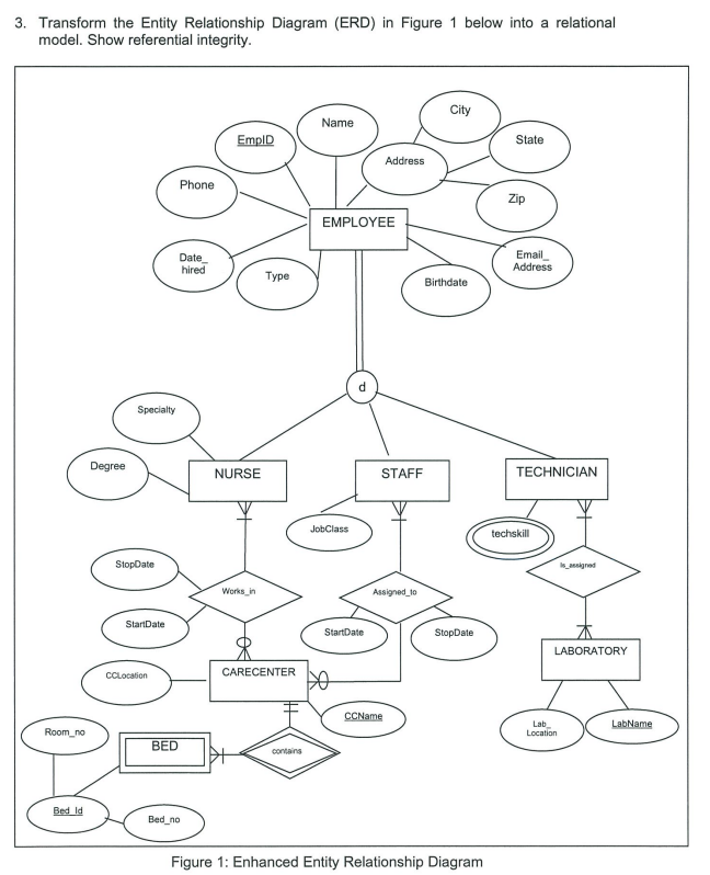 Solved 3 Trancform The Fntity Relatinnehin Nianram (FRR) In | Chegg.com