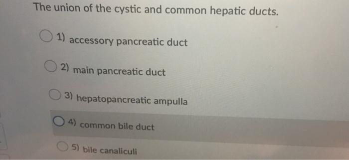 Solved The union of the cystic and common hepatic ducts. 1) | Chegg.com